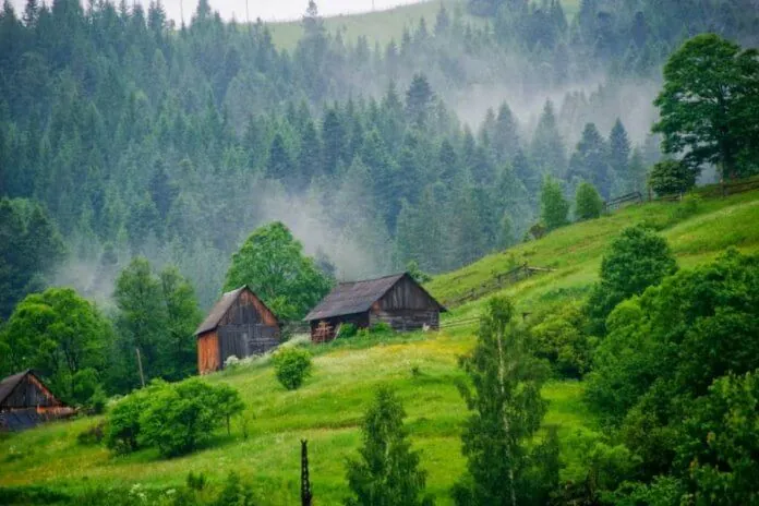 Карпати в Україні